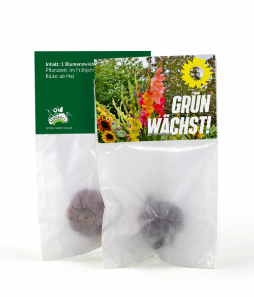 Blumenzwiebeln für den Frühling