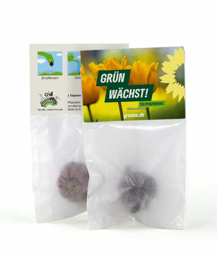 Tulpen-Zwiebel Bündnis 90/Die Grünen (Herbst)
