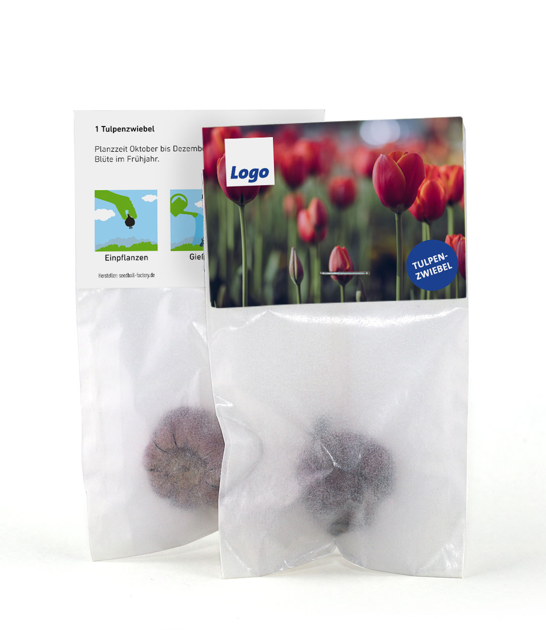 VdK Tulpen-Zwiebel
