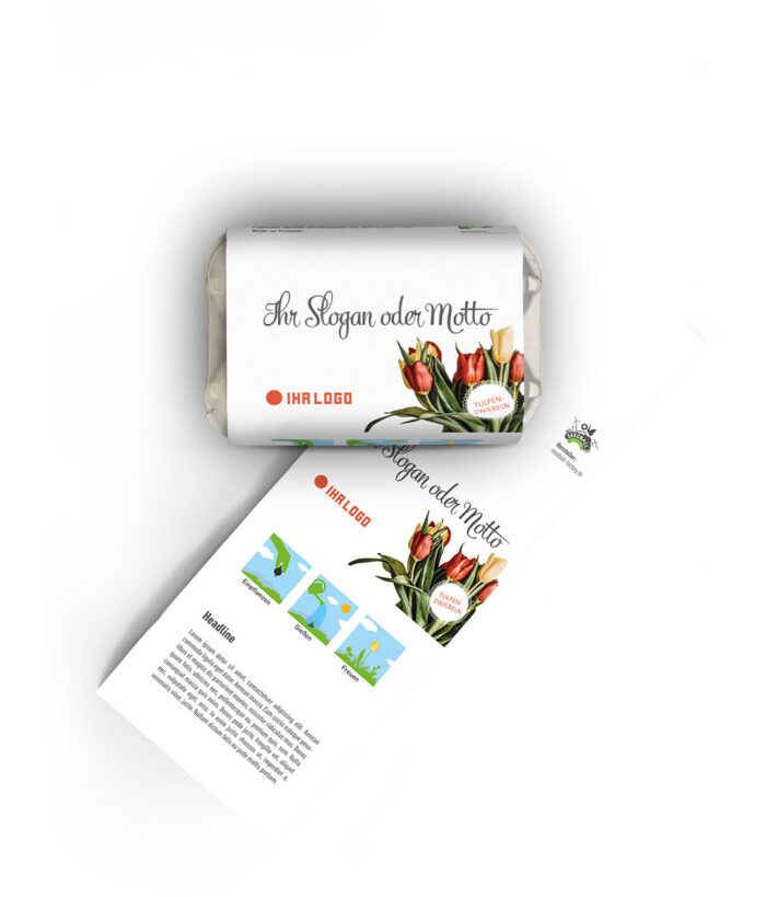 6 Tulpenzwiebeln im Mini-Eierkarton - Designvorschlag 3