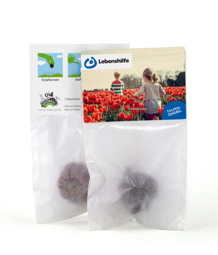 Lebenshilfe Tulpen-Zwiebel