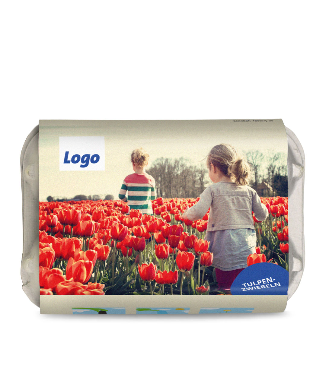 vdk 6 Tulpenzwiebeln im Mini-Eierkarton