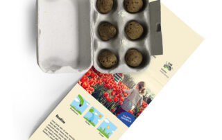 Samenbomben im Eierkarton