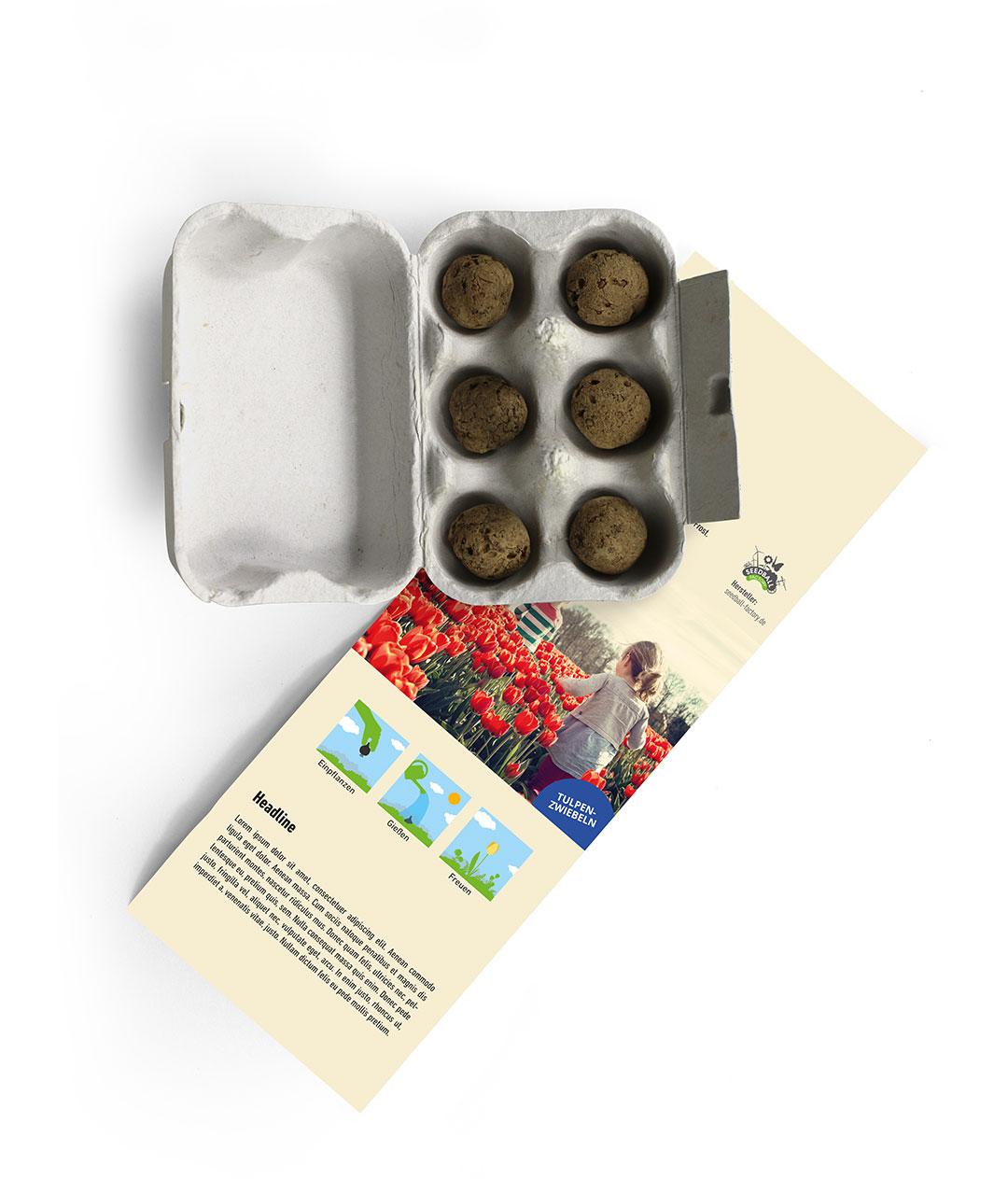 vdk 6 Tulpenzwiebeln im Mini-Eierkarton – Bild 3