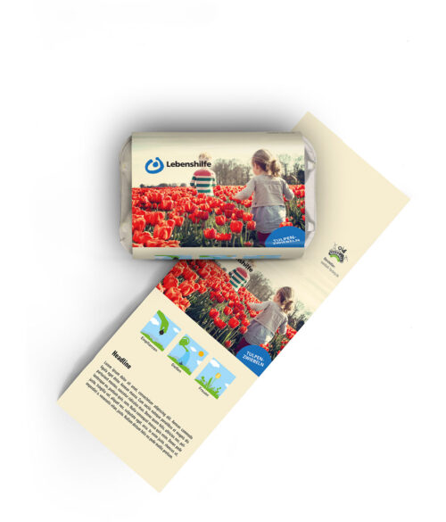 Samenbomen im Eierkarton