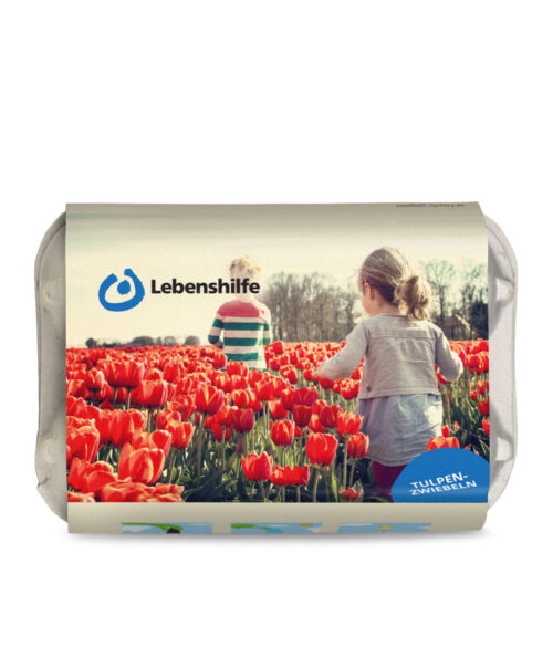 Samenbomben im Eierkarton