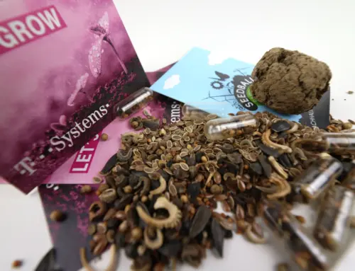 Biodiversität fördern: Seedballs als Helfer für Insekten & Stadtgrün