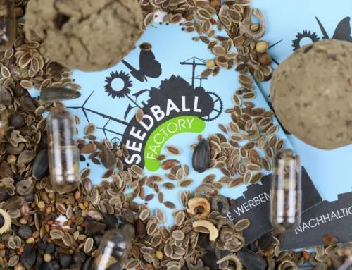 Samenbomben im Topf pflanzen – So gelingt die nachhaltige Aussaat mit Seedball Factory