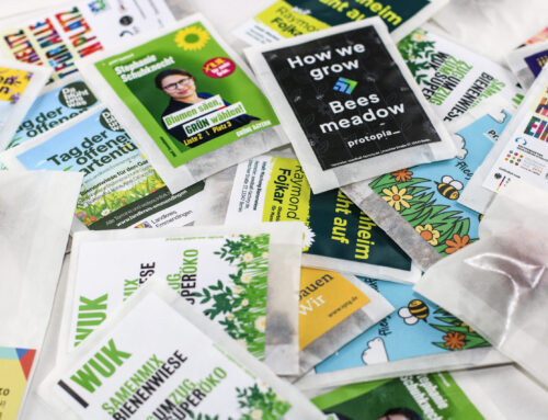 Saatkugeln pflanzen – Anleitung für einfaches und erfolgreiches Gärtnern mit der Seedball Factory