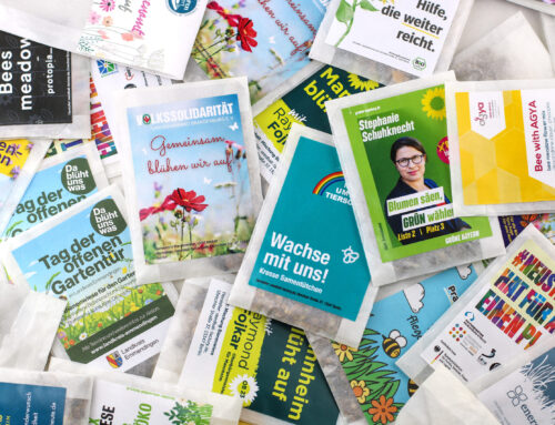 Samenbomben verschenken – ein nachhaltiges Geschenk mit positiver Wirkung