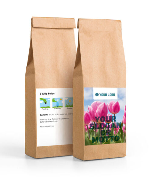 5 Flower Bulb Tulip