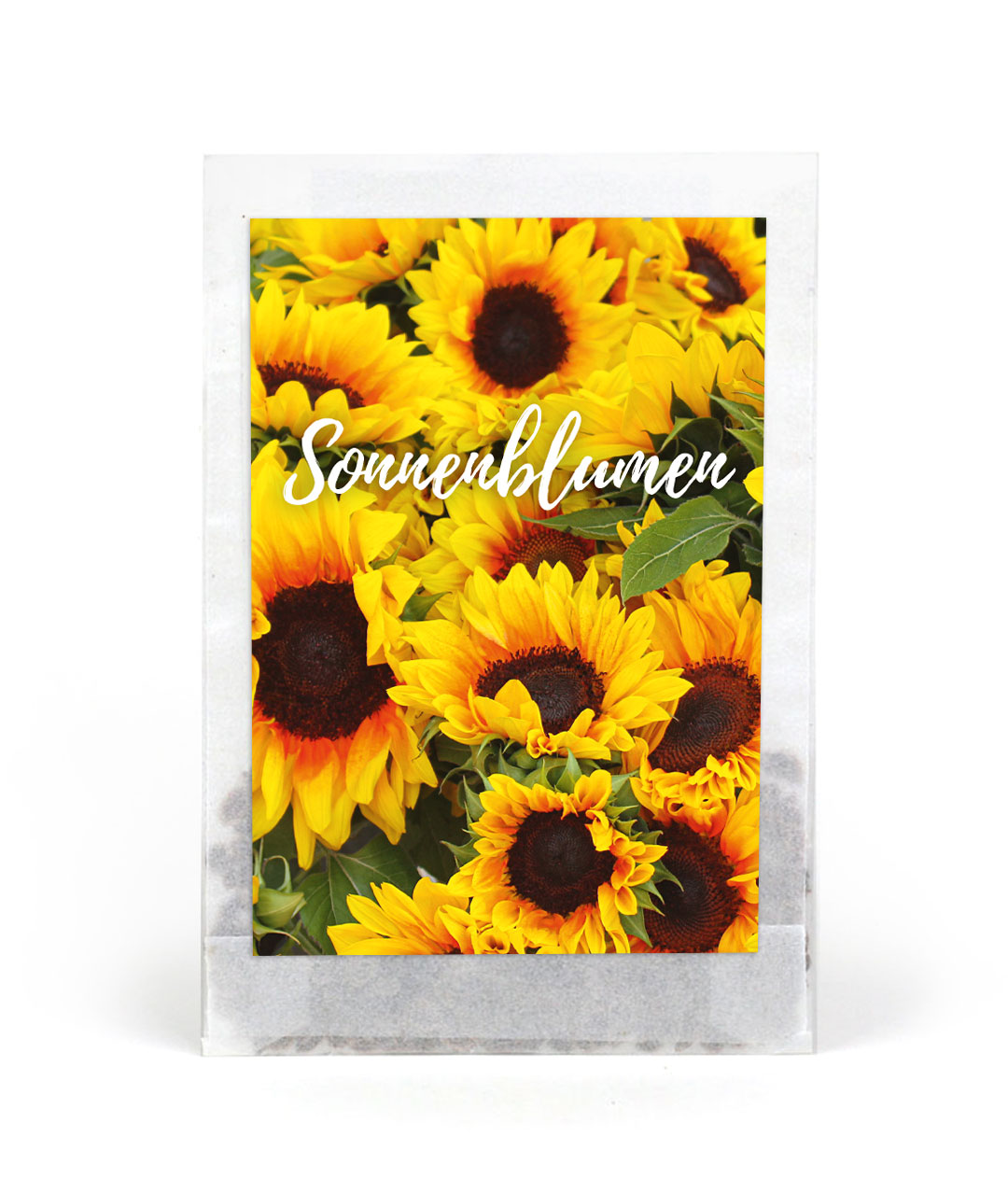 Samentütchen Sonnenblumen